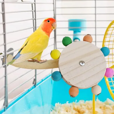 ZooVenture Percha de madera para pájaros con escalera y juguete giratorio