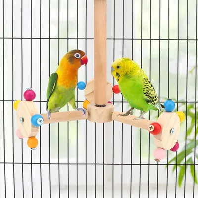 ZooVenture Juguete de percha giratoria para pájaros de madera natural