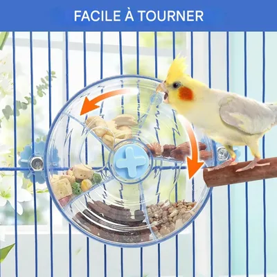 ZooVenture Comedero giratorio para pájaros y juguete