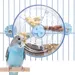 ZooVenture Distributeur Rotatif Et Jouet Pour Oiseaux