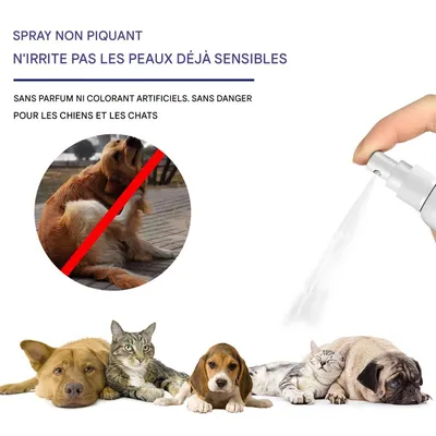 FurryFusion Spray insectifuge pour chiens et chats