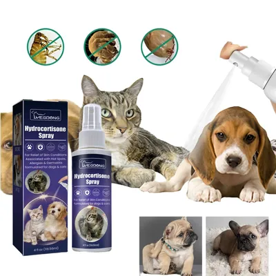 FurryFusion Spray insectifuge pour chiens et chats