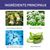 FurryFusion Spray insectifuge pour chiens et chats