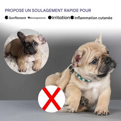 FurryFusion Spray insectifuge pour chiens et chats