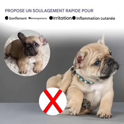 FurryFusion Spray insectifuge pour chiens et chats