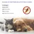 FurryFusion Spray insectifuge pour chiens et chats