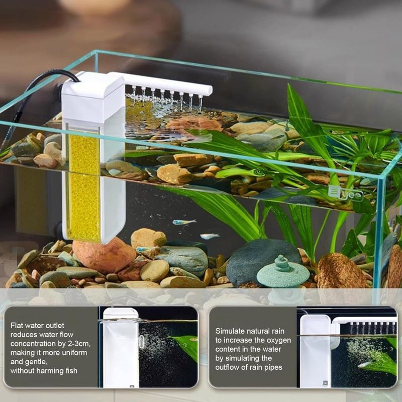 Filtre pour aquarium à poissons