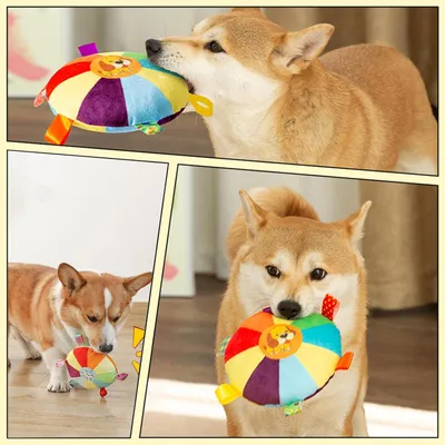 4 Pièces Frisbee Chien, Peluche Freesbee pour Chien, Frisbee Diamètre 15 cm