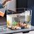 Filtre pour aquarium à poissons