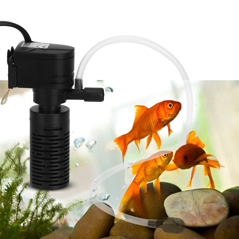 Filtre pour mini aquarium à poissons