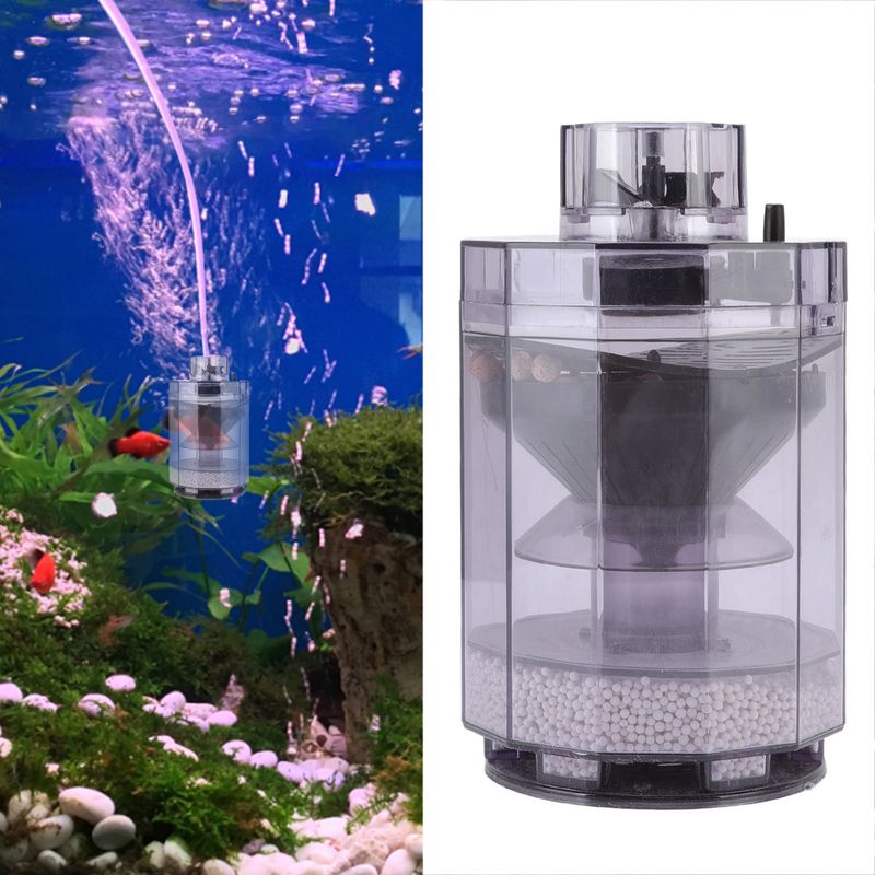 Filtre pour aquarium à poissons rond