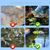 ZooVenture Mousse Filtre Pour Aquarium Et Bassin De Koi