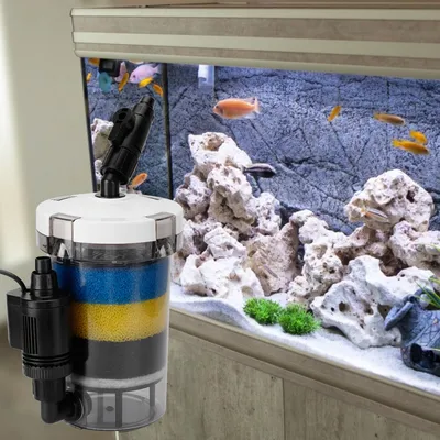 Seau filtrant transparent pour aquarium à poissons
