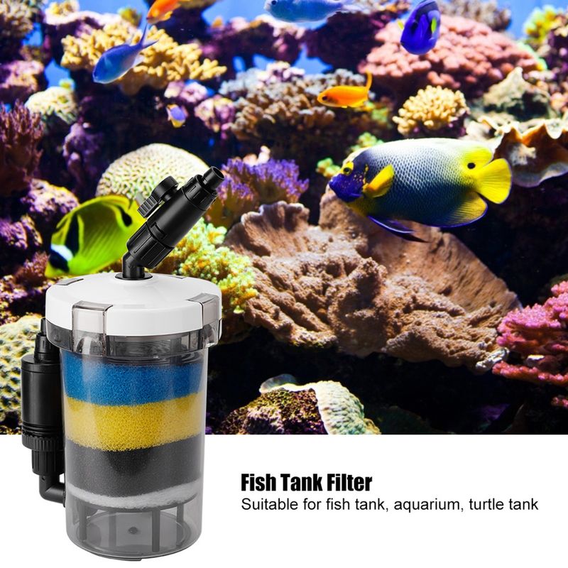 Seau filtrant transparent pour aquarium à poissons