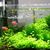 Filtre intégré pour aquarium à poissons220V