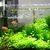 Filtre intégré pour aquarium à poissons220V