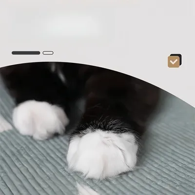 IntiMeg Protecteur anti-griffure en forme pour chat