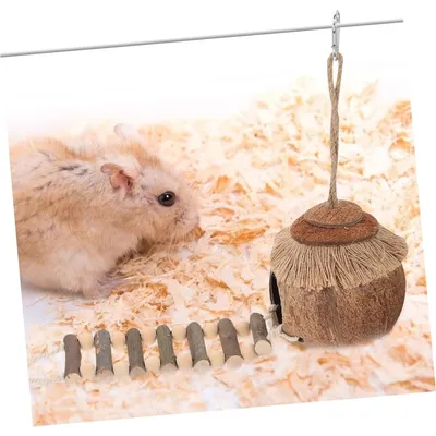 ZooVenture Nid D'oiseau En Noix De Coco Avec Échelle Jouet Pour Oiseaux