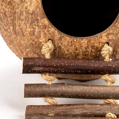 ZooVenture Nid D'oiseau En Noix De Coco Avec Échelle Jouet Pour Oiseaux