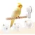ZooVenture Deux Perchoirs À Ventouse Pour Oiseaux