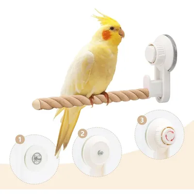 ZooVenture Deux Perchoirs À Ventouse Pour Oiseaux