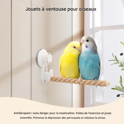 ZooVenture Deux Perchoirs À Ventouse Pour Oiseaux