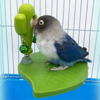 FurryFusion Jouet pour cage à perroquet