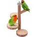 ZooVenture Perchoir En Bois Pour Perroquets Petite Et Moyenne Taille