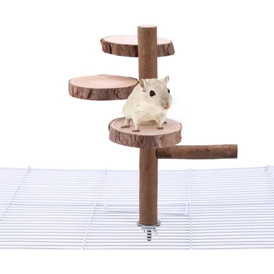 ZooVenture Perchoir En Bois Pour Perroquets Petite Et Moyenne Taille ZooVenture Perchoir En Bois Pour Perroquets Petite Et Moyenne Taille