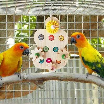 ZooVenture Jouet À Mâcher En Bois Pour Oiseaux