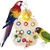 ZooVenture Jouet À Mâcher En Bois Pour Oiseaux