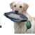 UAMLY Jouet pare-chocs en forme de canard pour dresser les chiens