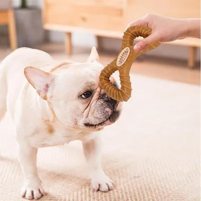 IntiMeg Jouet de mâchage et distributeur d'aliments pour chien