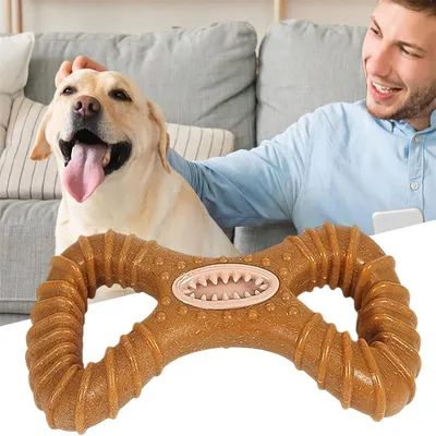 IntiMeg Jouet de mâchage et distributeur d'aliments pour chien