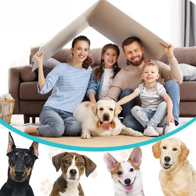 IntiMeg Jouet de mâchage et distributeur d'aliments pour chien