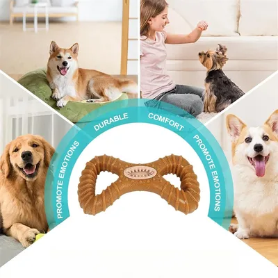 IntiMeg Jouet de mâchage et distributeur d'aliments pour chien