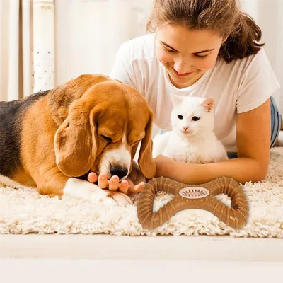 IntiMeg Jouet de mâchage et distributeur d'aliments pour chien