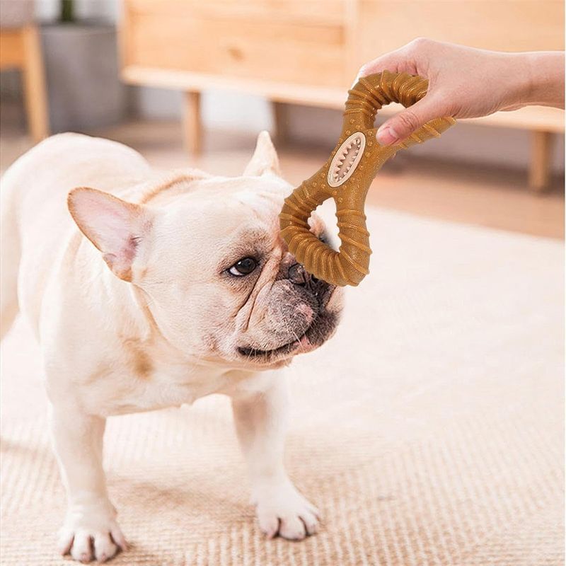 IntiMeg Jouet de mâchage et distributeur d'aliments pour chien