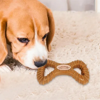 IntiMeg Jouet de mâchage et distributeur d'aliments pour chien