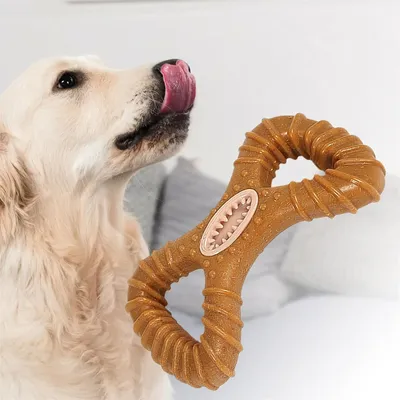 IntiMeg Jouet de mâchage et distributeur d'aliments pour chien