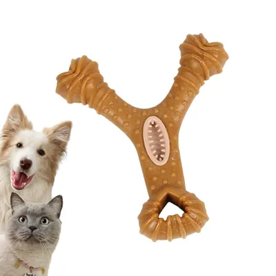 IntiMeg Jouet de mâchage et distributeur d'aliments pour chien