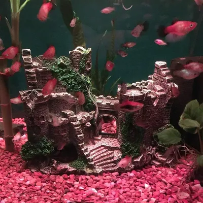 Cachette pour poissons en forme de château