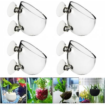 ZooVenture Lot De 4 Pots En Verre Pour Plantes Aquatiques Avec 8 Ventouses