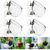 ZooVenture Lot De 4 Pots En Verre Pour Plantes Aquatiques Avec 8 Ventouses
