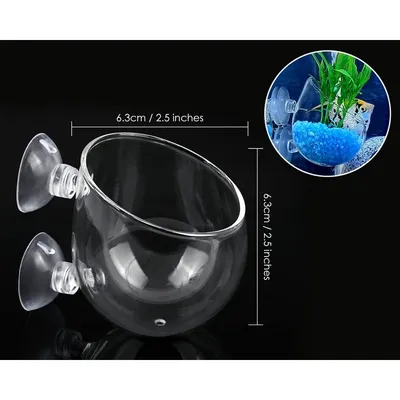 ZooVenture Lot De 4 Pots En Verre Pour Plantes Aquatiques Avec 8 Ventouses