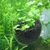 ZooVenture Lot De 4 Pots En Verre Pour Plantes Aquatiques Avec 8 Ventouses