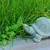 Statue de Tortue en Pierre | Décoration d'aquarium
