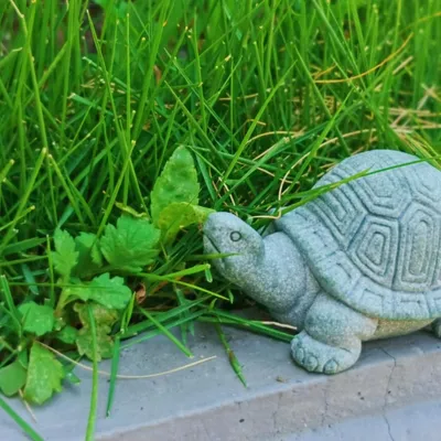 Statue de Tortue en Pierre | Décoration d'aquarium