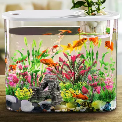 Aquarium Decoration Plante