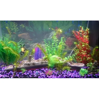Décoration pour aquarium en forme d’épave du Titanic